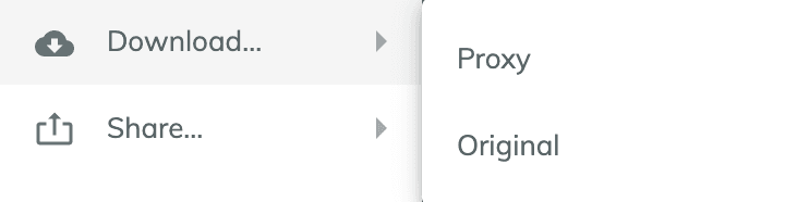 Download menu of a media with the options Proxy and Original